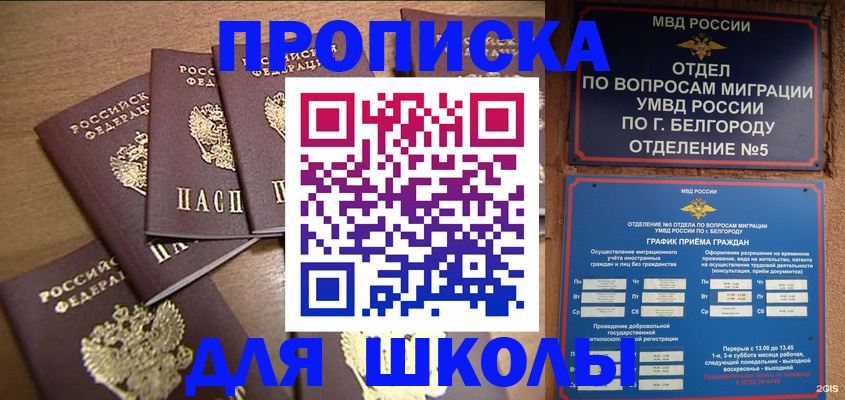 прописка гарантия в Луховицах